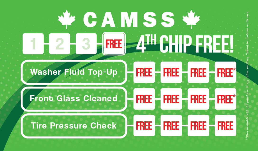 CAMSS chip free